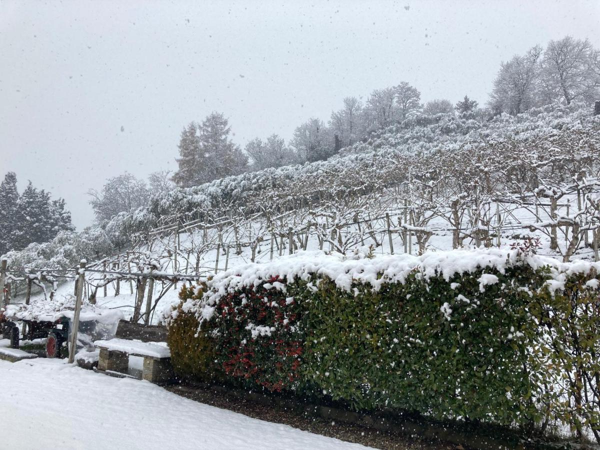 Agrialpi By Salfrutta Bed & Breakfast Bricherasio Exterior photo