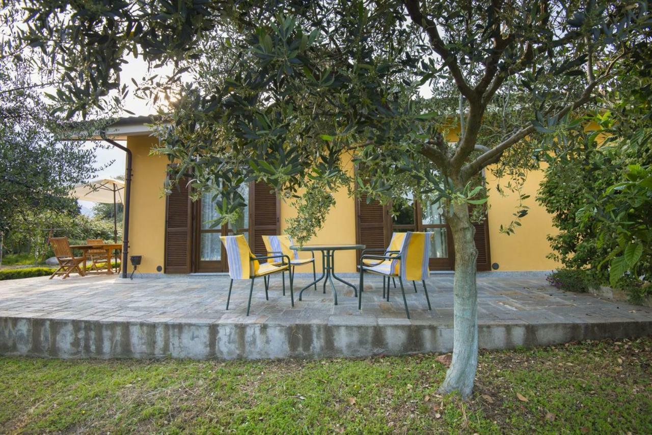 Agrialpi By Salfrutta Bed & Breakfast Bricherasio Exterior photo